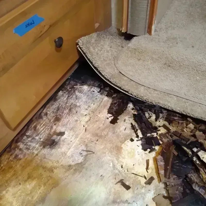 Wood Floor Water Damage in New York City, NY